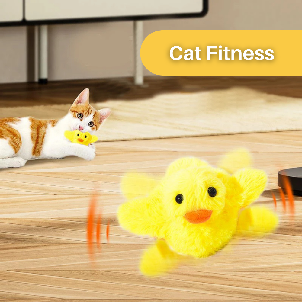 Flapping Duck Cat Toy – DuckDash (1+1 FREE)