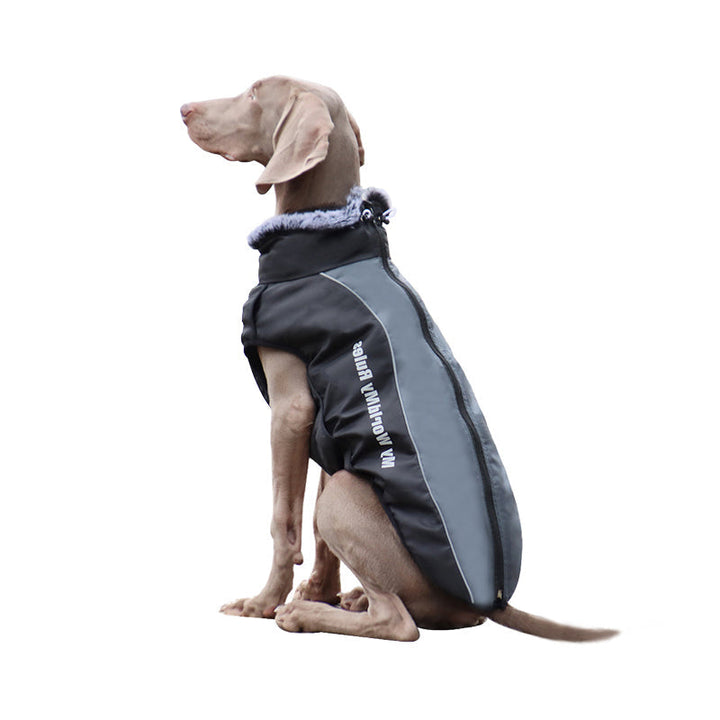 Reflektierende Hundejacke mit Geschirr - GlowPaw