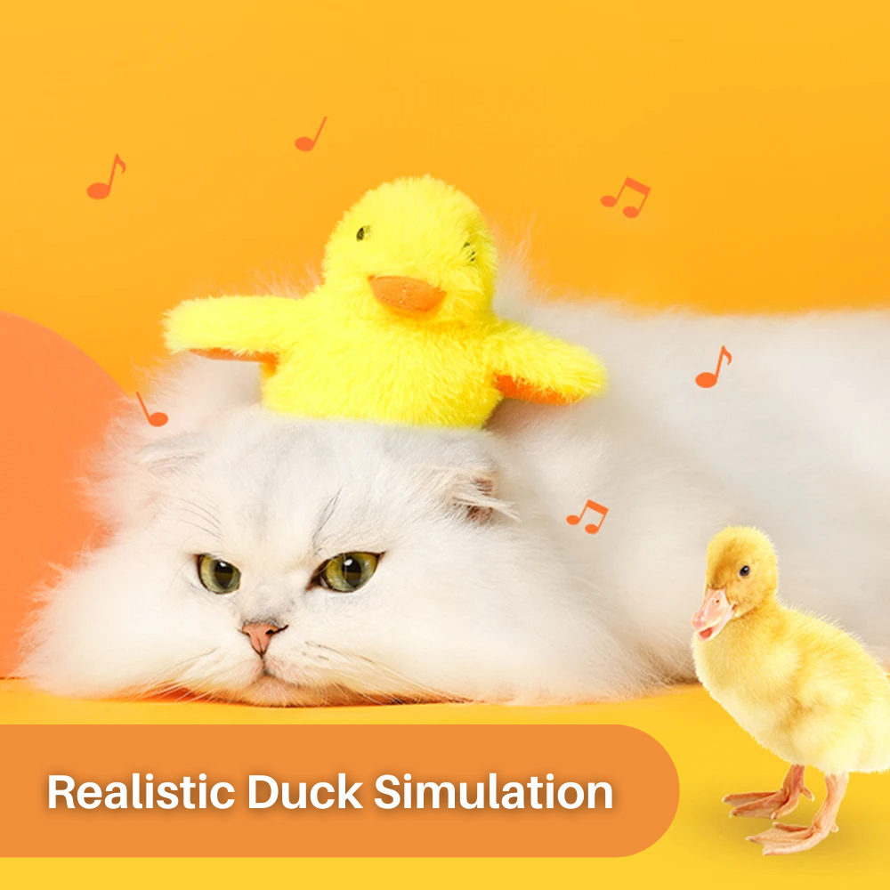 Flapping Duck Cat Toy – DuckDash (1+1 FREE)