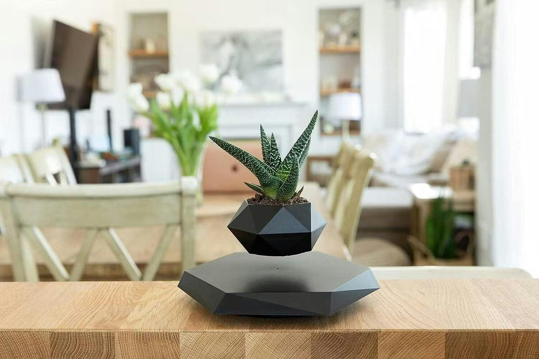 Flydende planteholder med magnetisk levitation - Liva