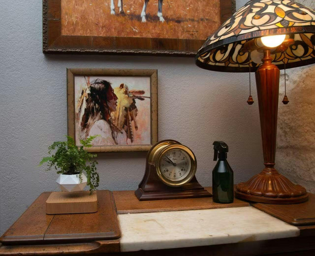 Flydende planteholder med magnetisk levitation - Liva