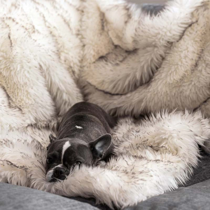 Luxuriöse wasserdichte Haustierdecke – CozyPaw