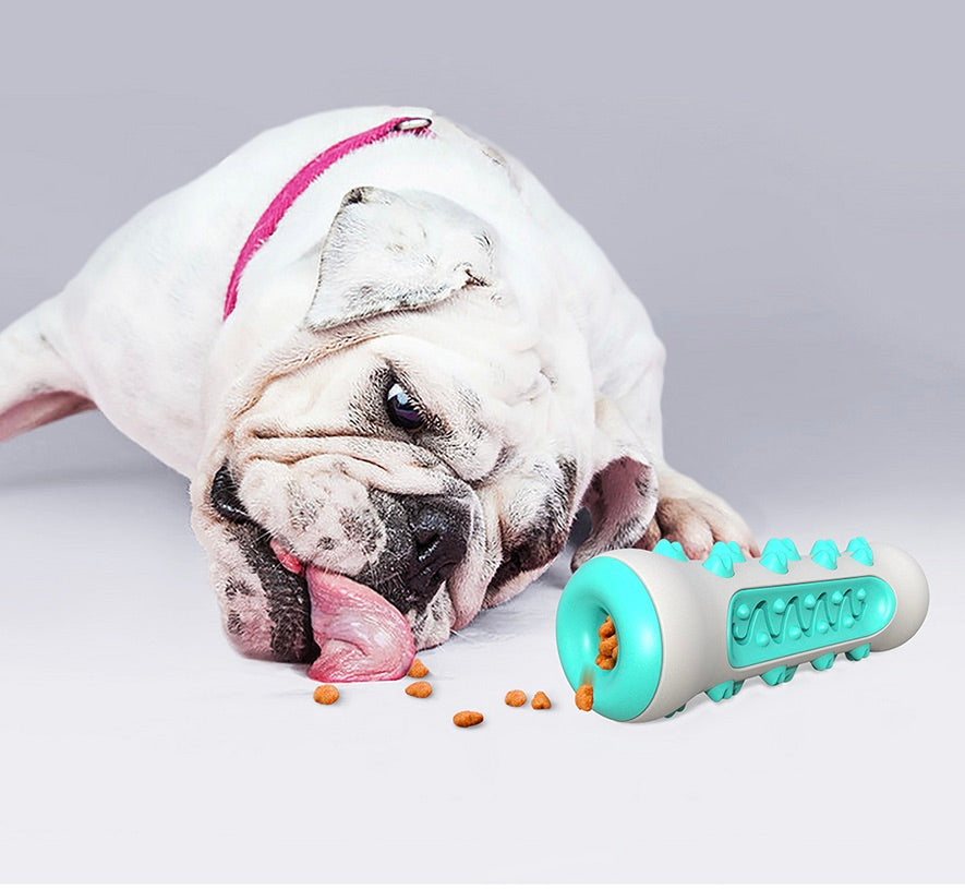 Tandrensende tyggelegetøj til hunde – Chewly