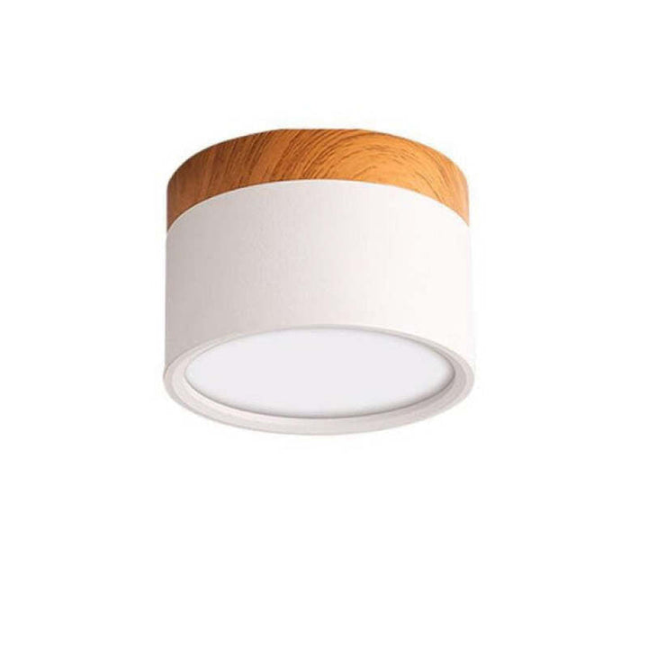 Morandi Style Modern LED Ceiling Light - LumiModo