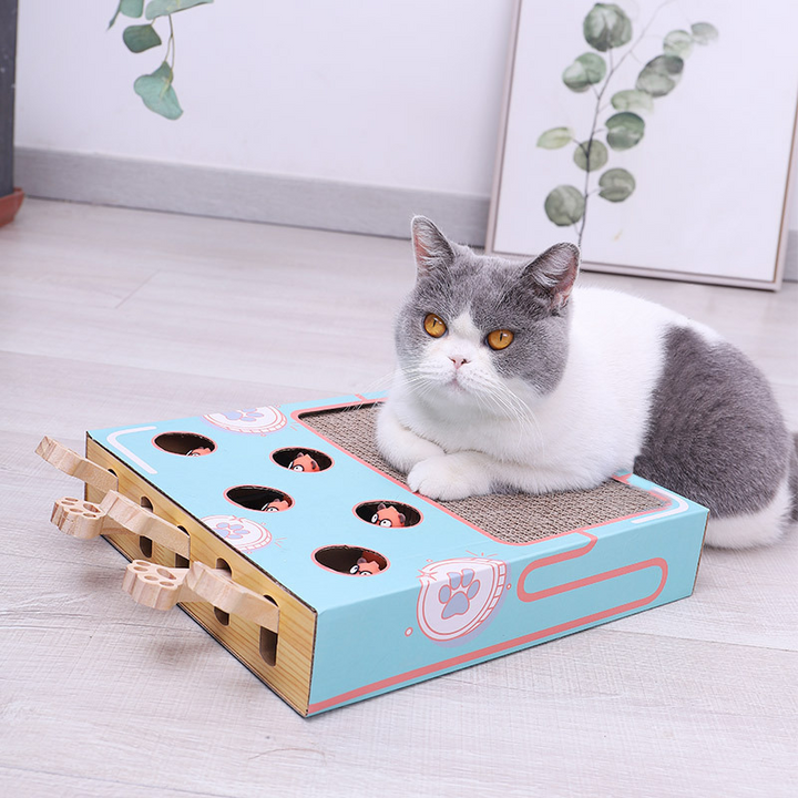 Juguete interactivo para gatos 3 en 1 - WhiskerPlay