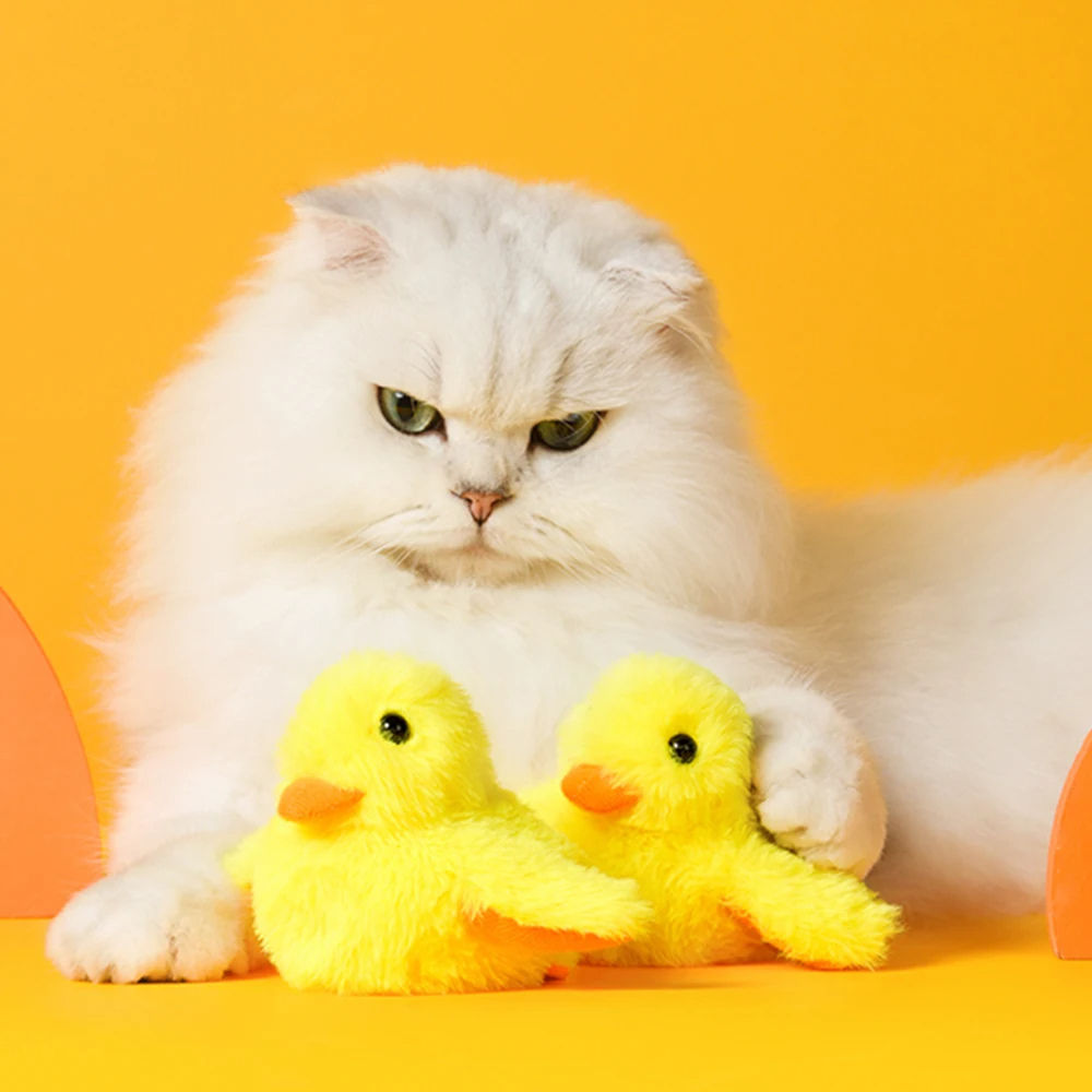 Flapping Duck Cat Toy – DuckDash (1+1 FREE)