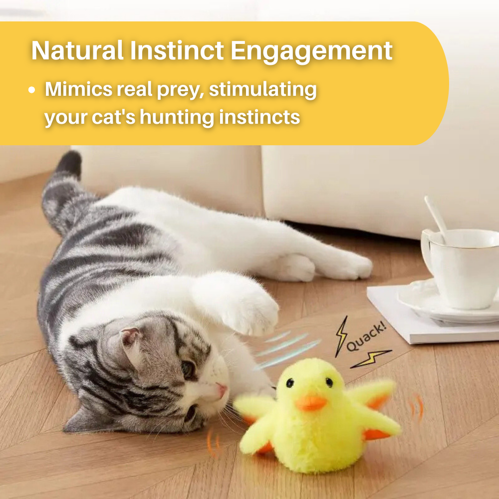 Flapping Duck Cat Toy – DuckDash (1+1 FREE)