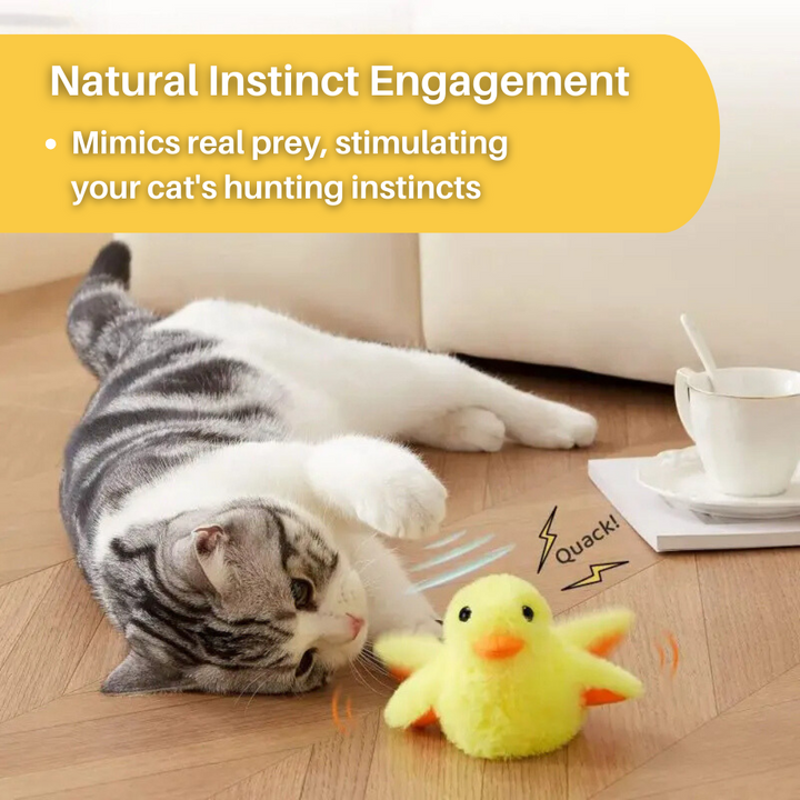 Flapping Duck Cat Toy – DuckDash (1+1 FREE)