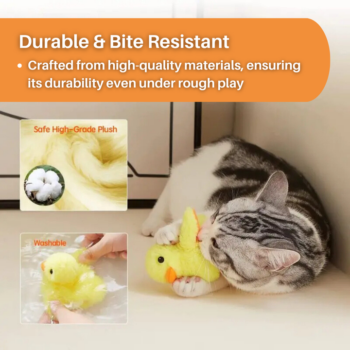 Flapping Duck Cat Toy – DuckDash (1+1 FREE)