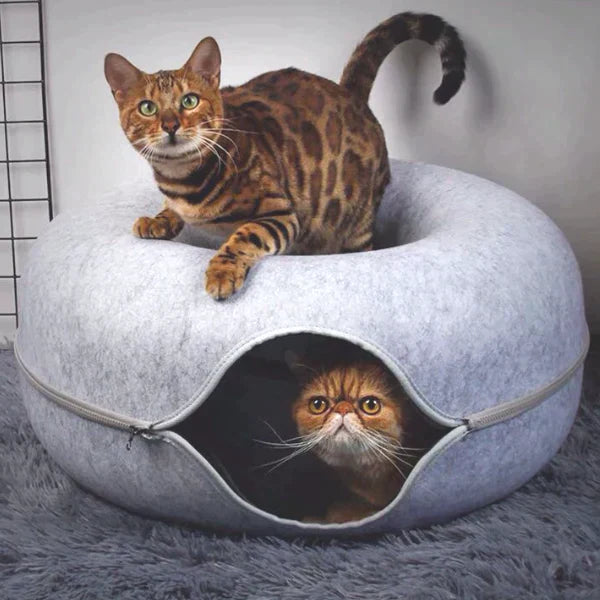 Luxe Cat Bed and Playhouse - WhiskerNest