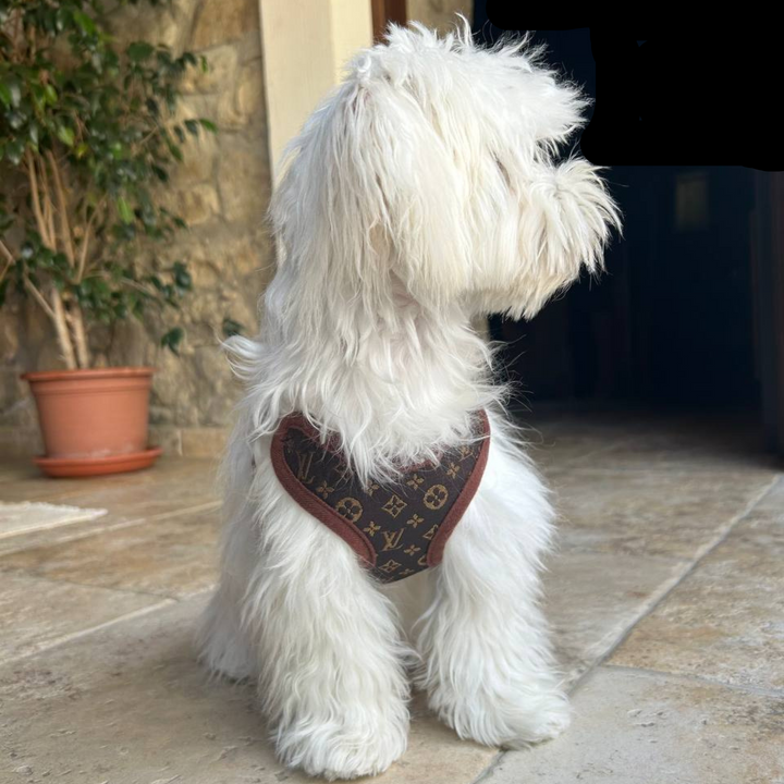 Arnés para perros y juego de correas – PawLuxe