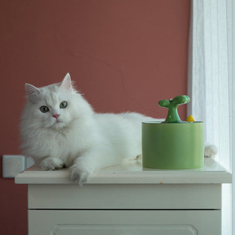 Fuente para gatos – SpringFlow