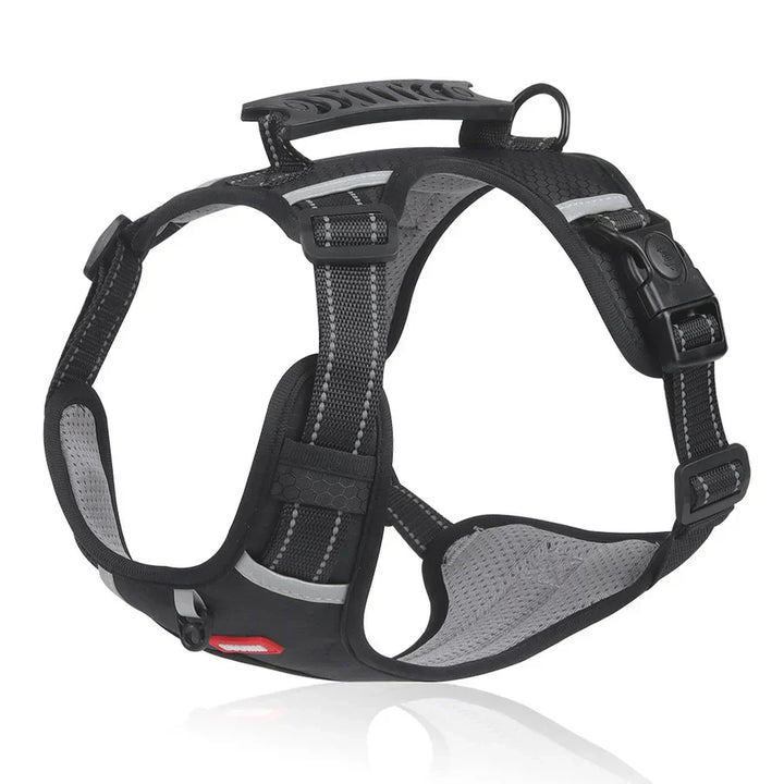 Robust & Comfortable Dog Harness - ActivePup