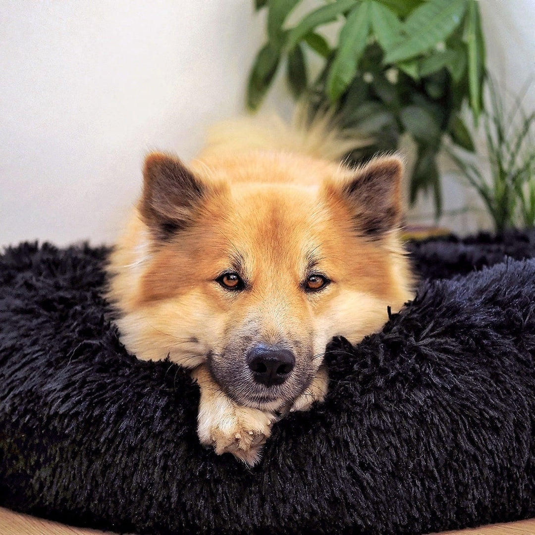Dog Bed Fluffy Plus - The Original