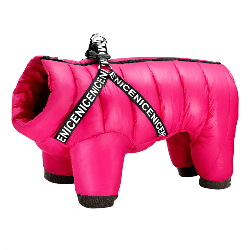 Winter jacket for dogs - ArcticPaws