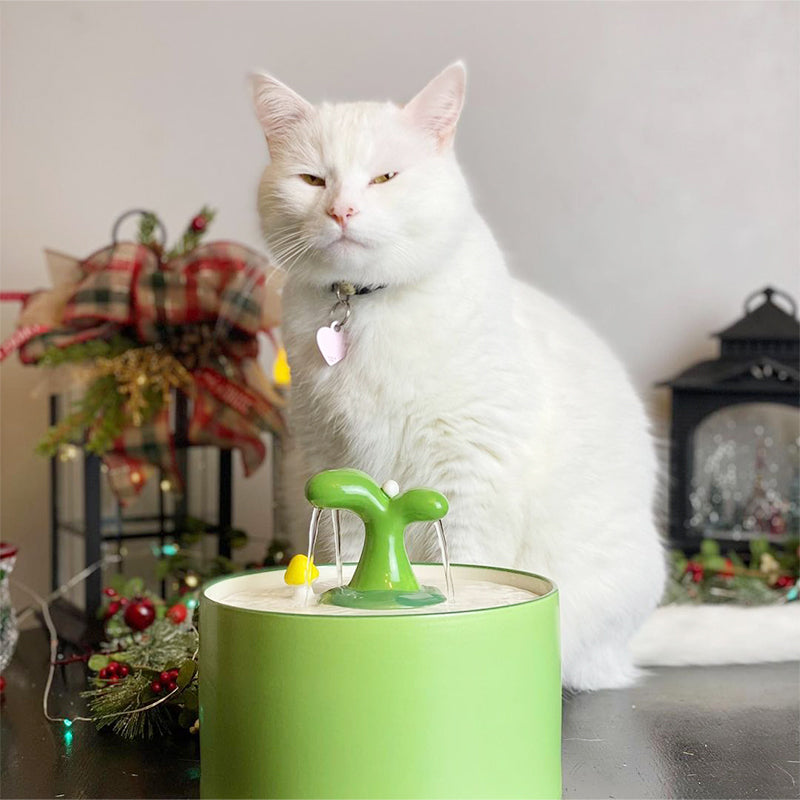 Fuente para gatos – SpringFlow