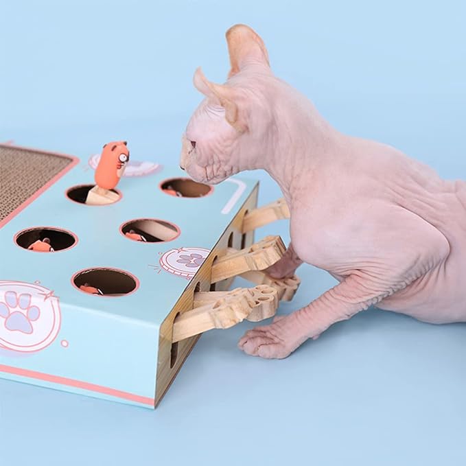 Juguete interactivo para gatos 3 en 1 - WhiskerPlay
