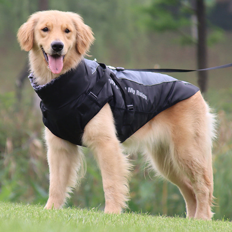 Reflektierende Hundejacke mit Geschirr - GlowPaw