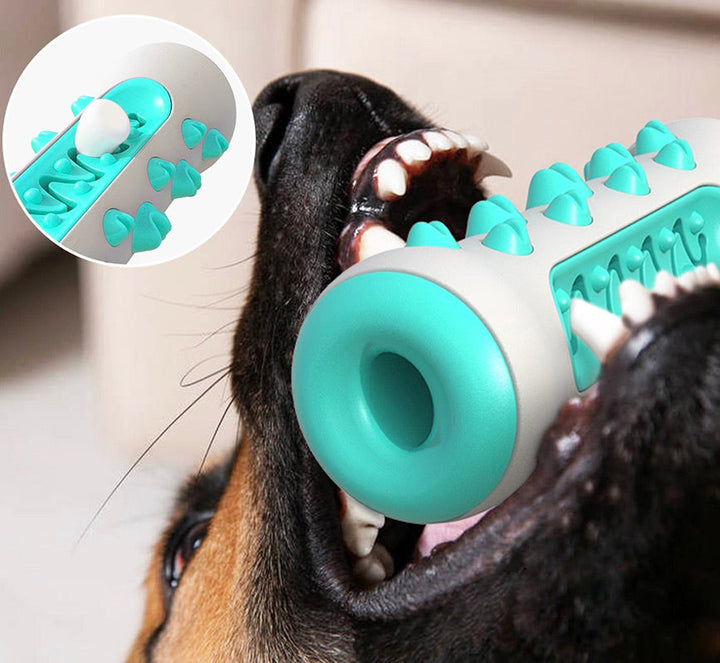 Tandrensende tyggelegetøj til hunde – Chewly