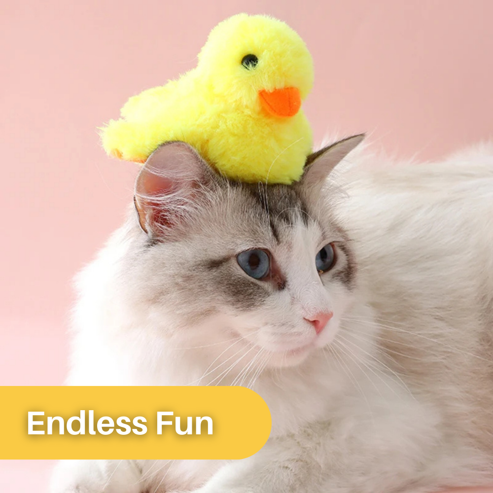 Flapping Duck Cat Toy – DuckDash (1+1 FREE)