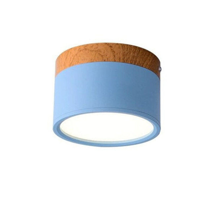 Morandi Style Modern LED Ceiling Light - LumiModo