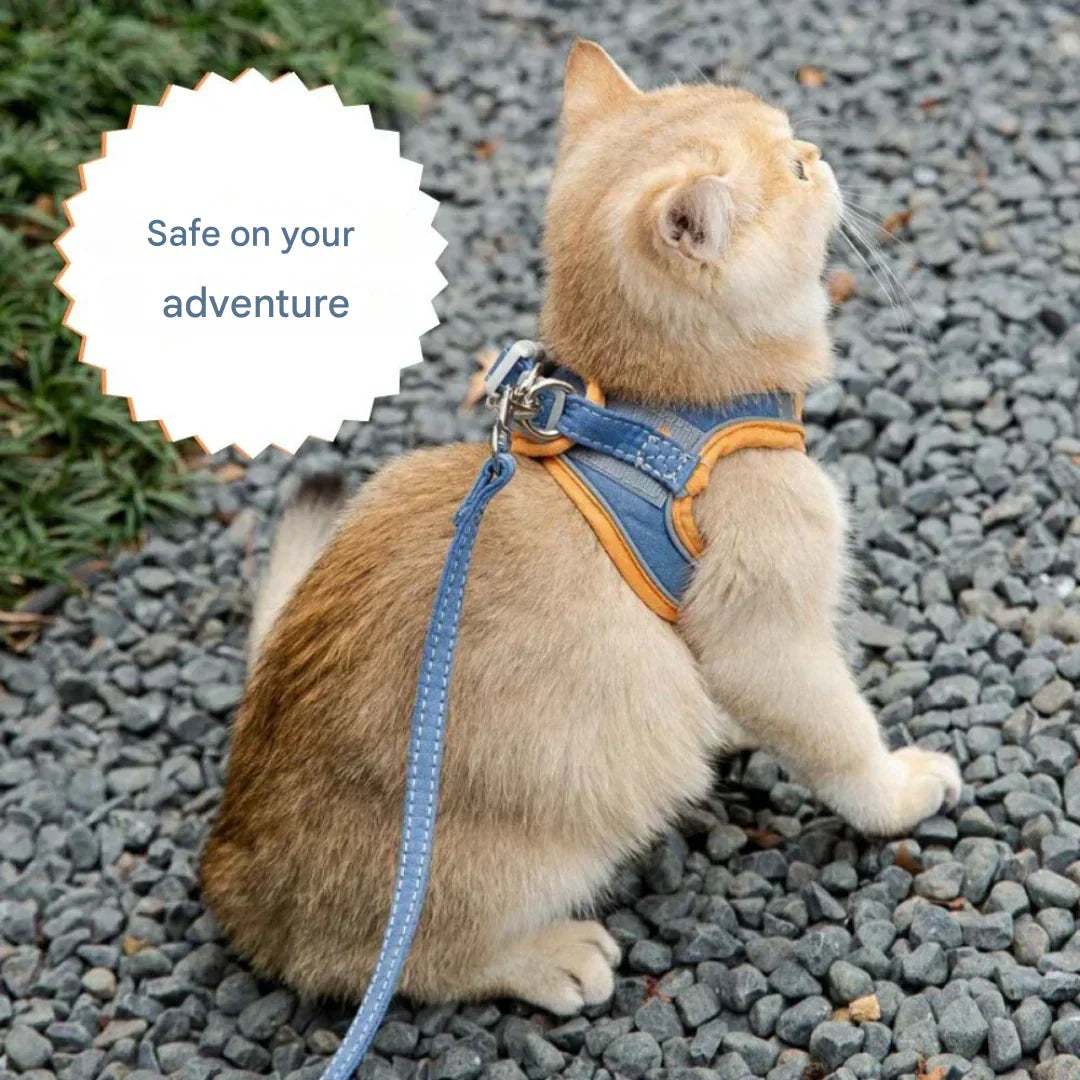 Arnés ajustable para gatos con correa – WhiskerWander