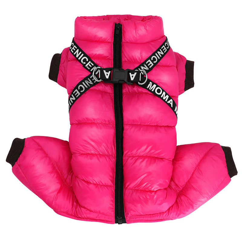 Winter jacket for dogs - ArcticPaws
