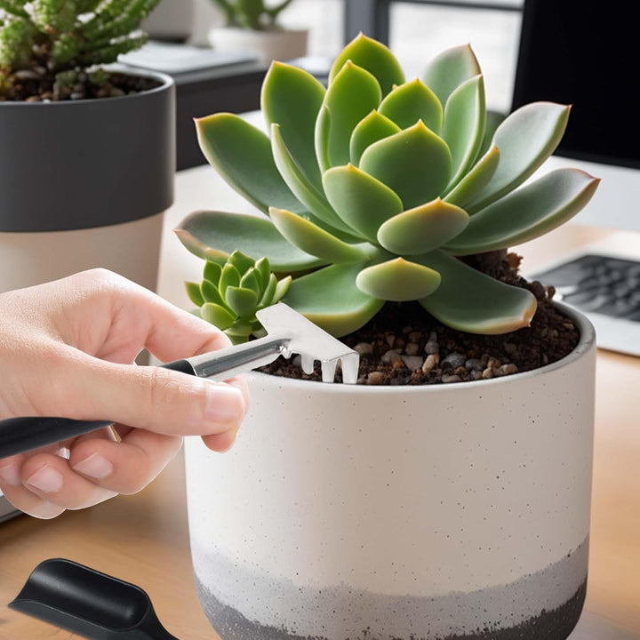 12-in-1 Succulent Tools Set with Storage Bag for Indoor Planting