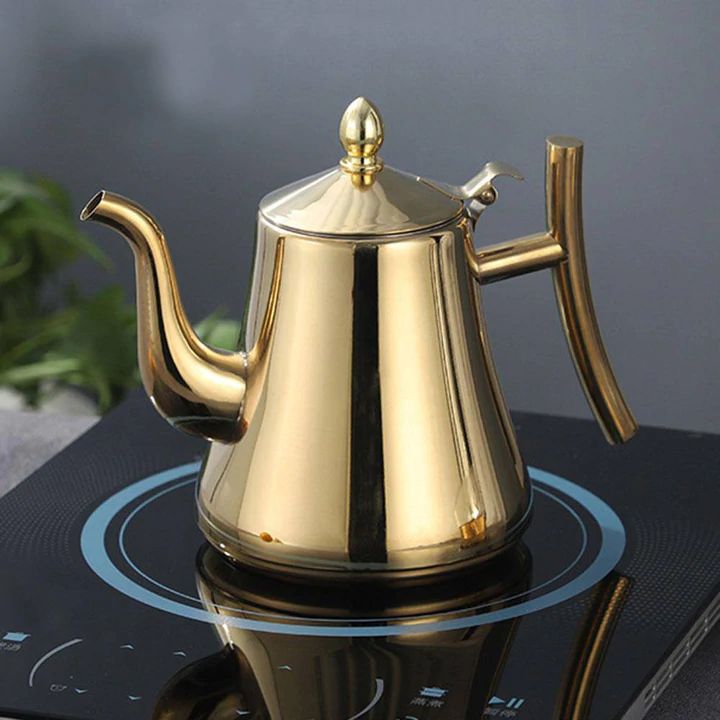Stainless Steel Induction Kettle with Filter - AquaSteel