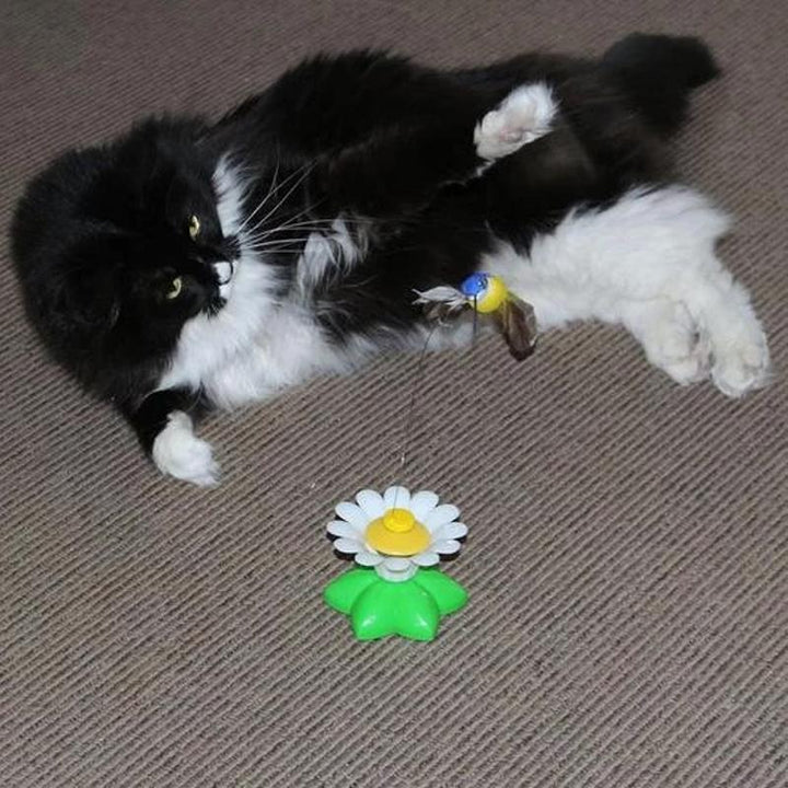 Sizes Interactive Cat Toy – Purrfect Play