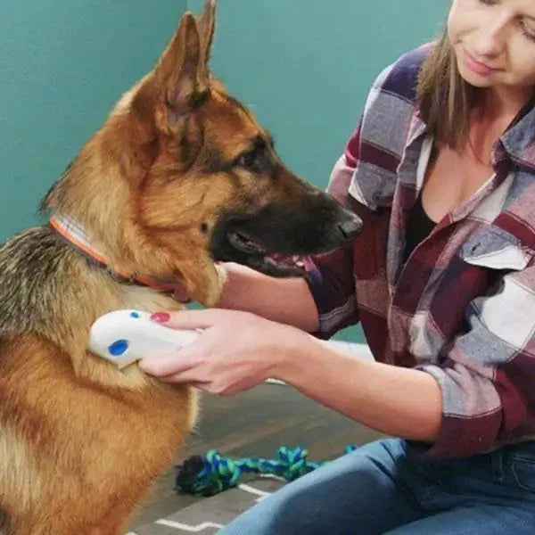 Eliminador eléctrico de pulgas para mascotas – FleaZap