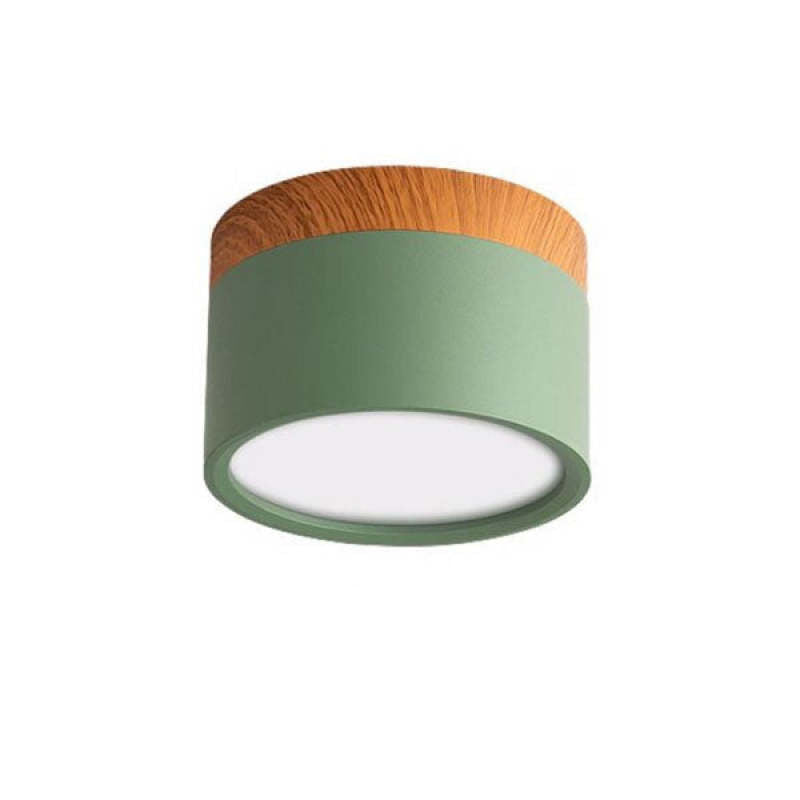 Morandi Style Modern LED Ceiling Light - LumiModo