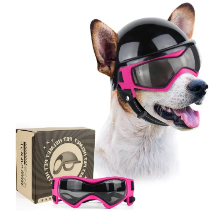 Hundehjælp og briller - RiderPaw