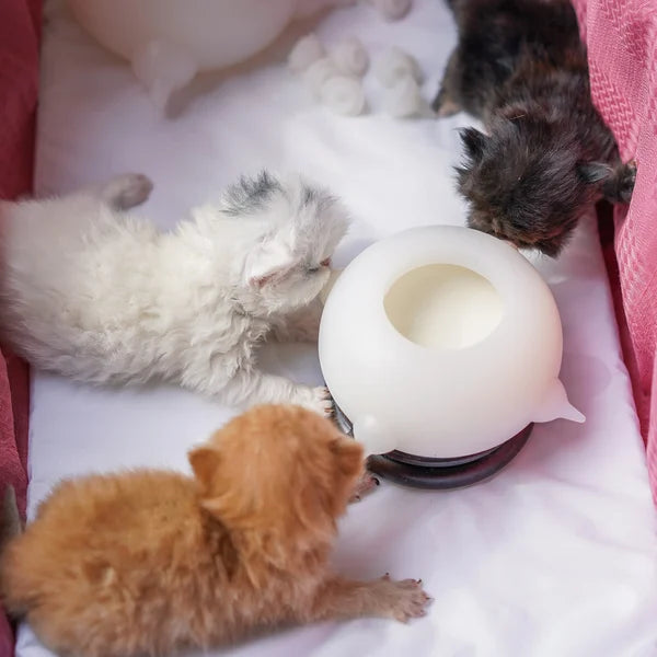 Kompakt melkeskål for kattunger - KittySip