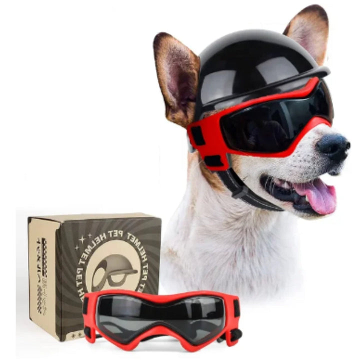 Hundehjælp og briller - RiderPaw