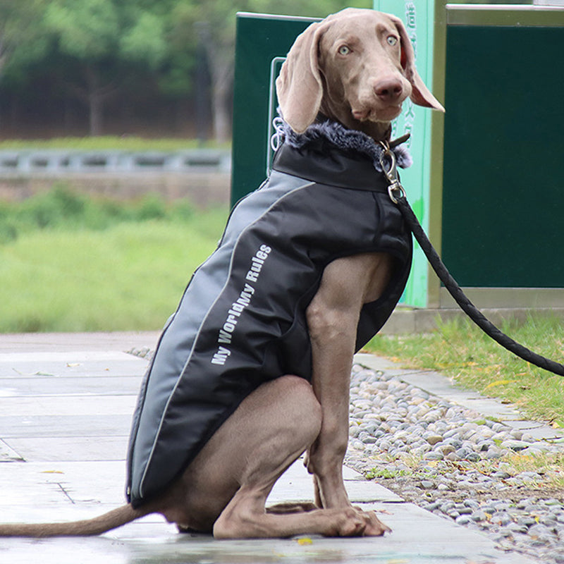 Reflektierende Hundejacke mit Geschirr - GlowPaw