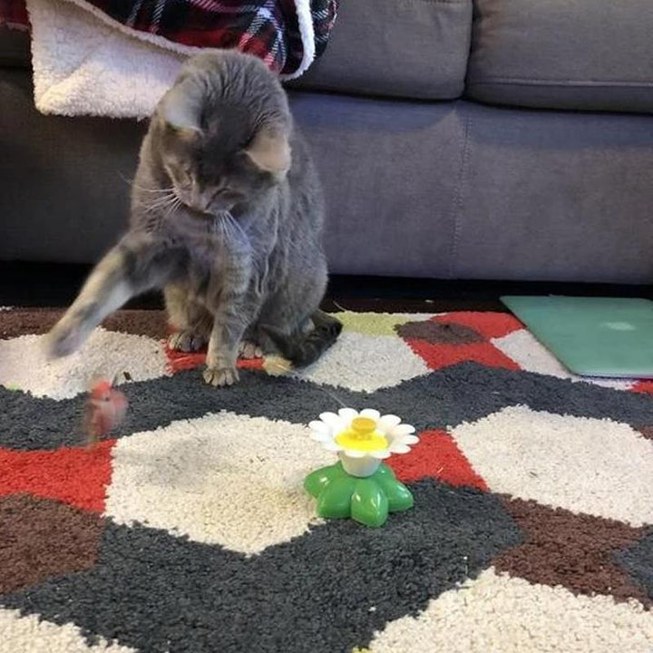 Sizes Interactive Cat Toy – Purrfect Play