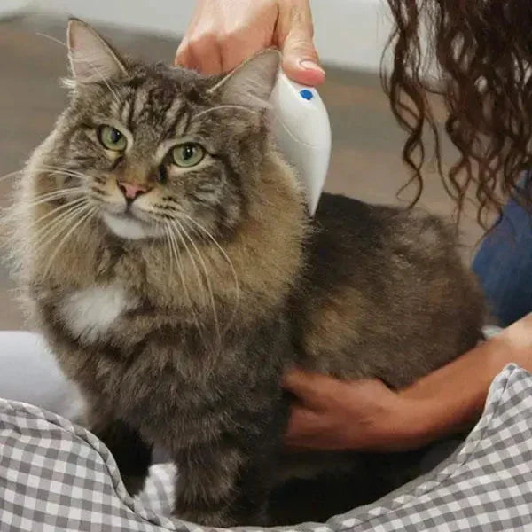 Eliminador eléctrico de pulgas para mascotas – FleaZap