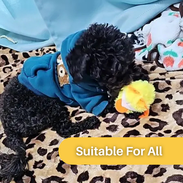 Flapping Duck Cat Toy – DuckDash (1+1 FREE)
