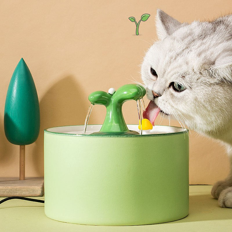 Fuente para gatos – SpringFlow