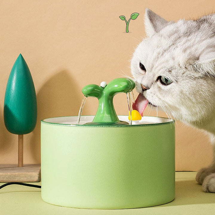 Fuente para gatos – SpringFlow