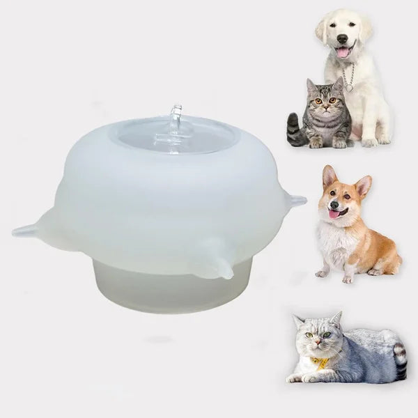 Kompakt melkeskål for kattunger - KittySip