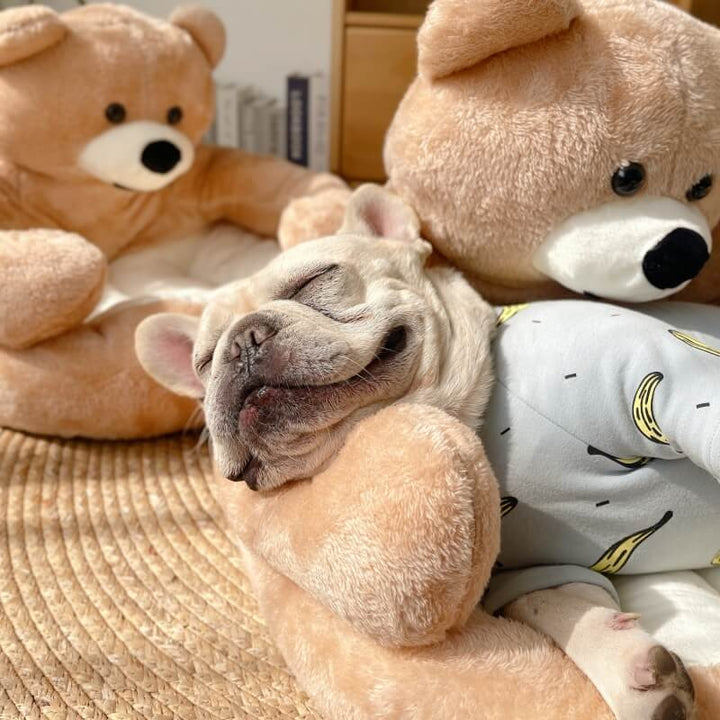 Justerbar kosebjørn – SnuggleBear