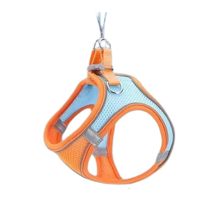 Arnés ajustable para gatos con correa – WhiskerWander