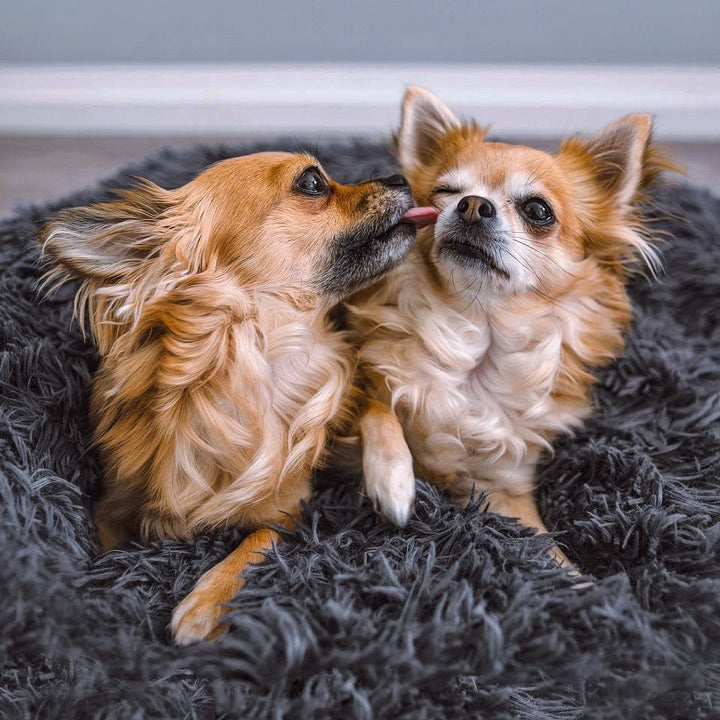 Dog Bed Fluffy Plus - The Original