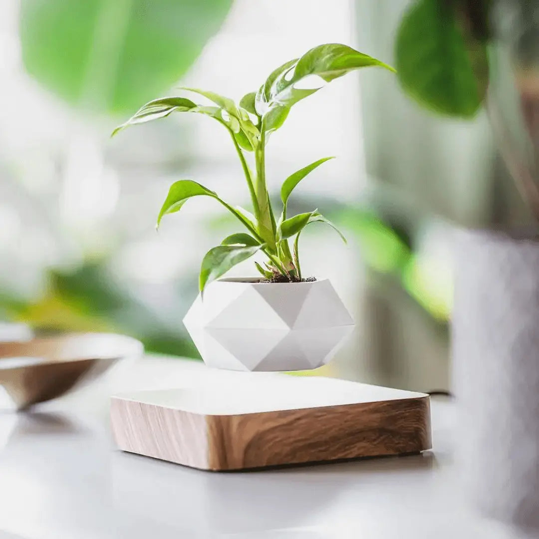 Flydende planteholder med magnetisk levitation - Liva