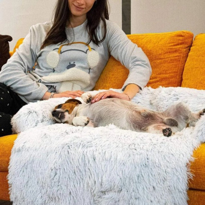 Sofá cama de lujo para perros - PawLounge