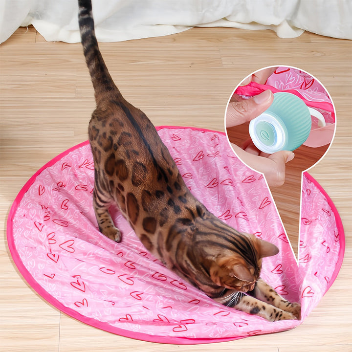 Juguete interactivo móvil para gatos – WhiskRoll