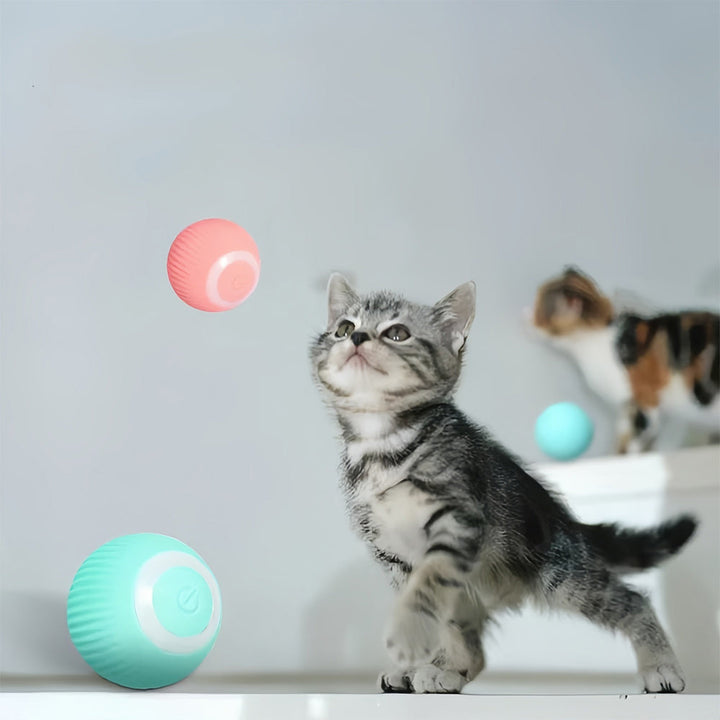 Juguete interactivo móvil para gatos – WhiskRoll