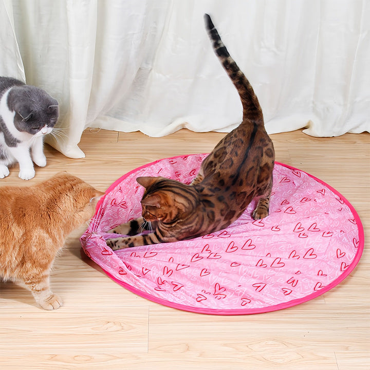 Juguete interactivo móvil para gatos – WhiskRoll